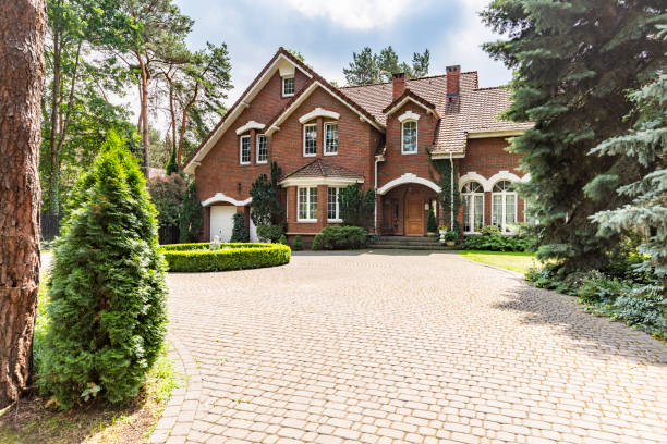 Best Best Driveway Pavers  in Montevideo, MN
