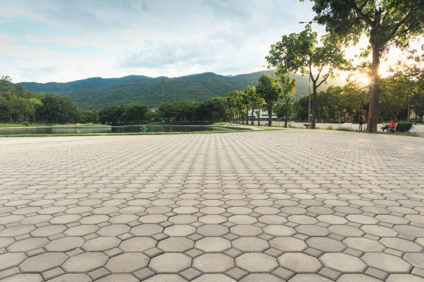 Best Paver Driveway Replacement  in Montevideo, MN